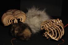 bits of fur and wooden ribcage